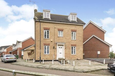 1 bedroom  Room to rent