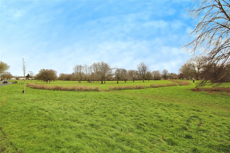 Image 15