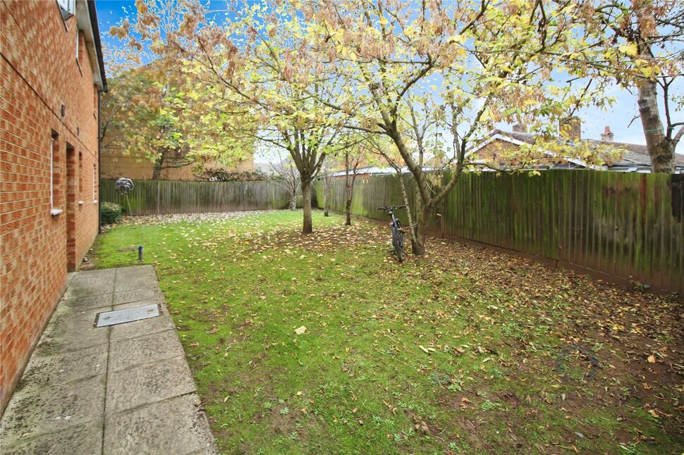 Image 12