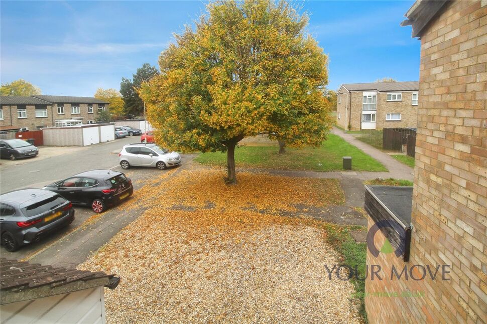 Image 20