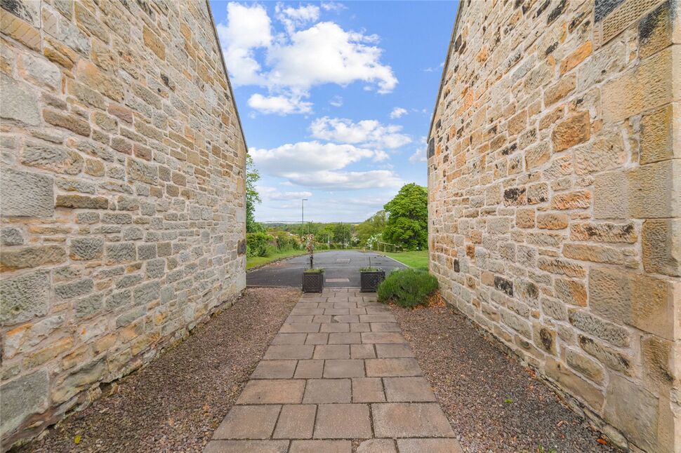 Image 41