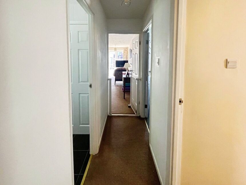 Image 19