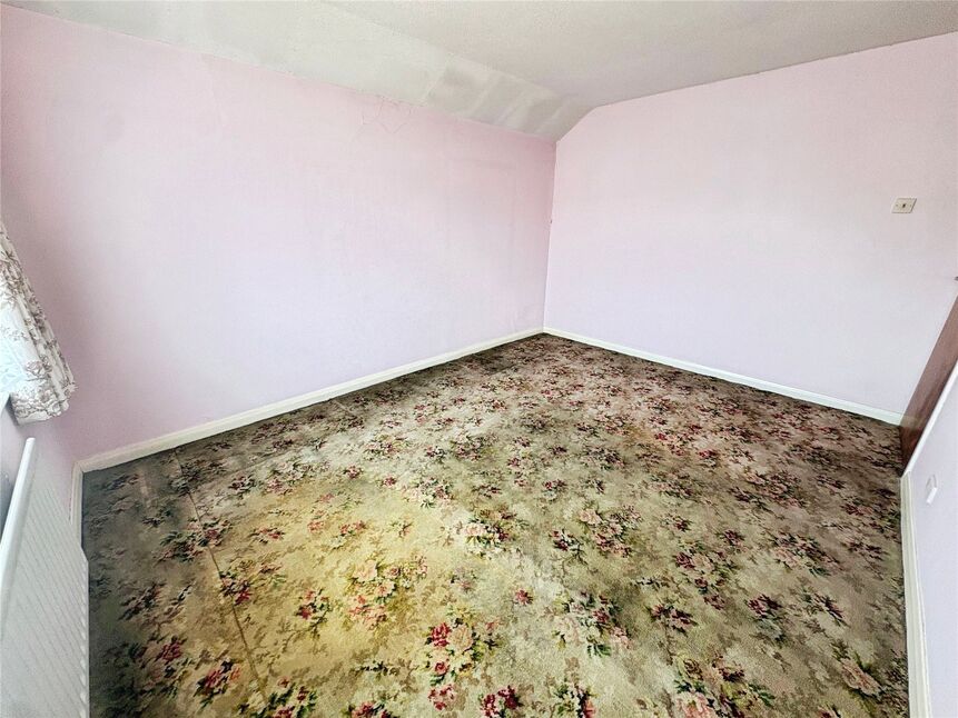 Image 19