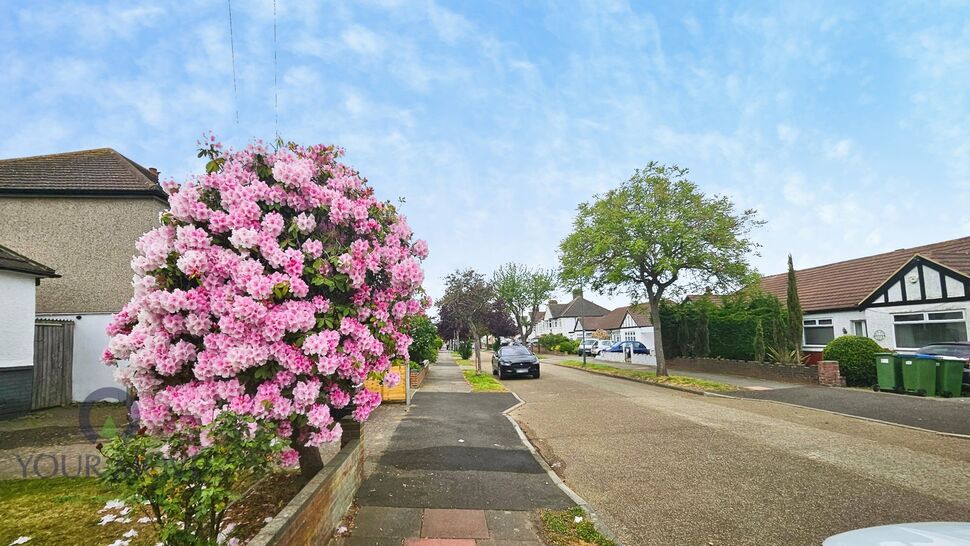 Image 12