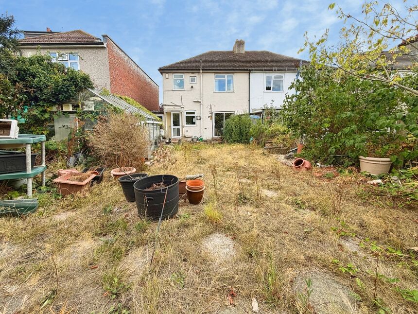 Image 13