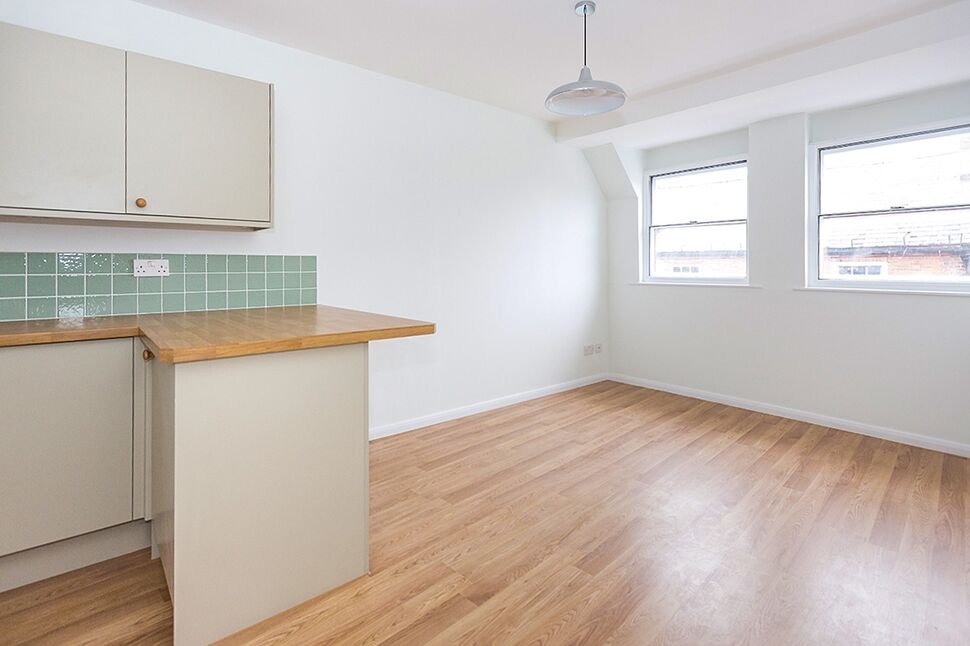 Kitchen / Living Area