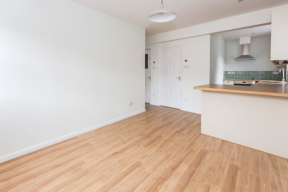 Kitchen / Living Area