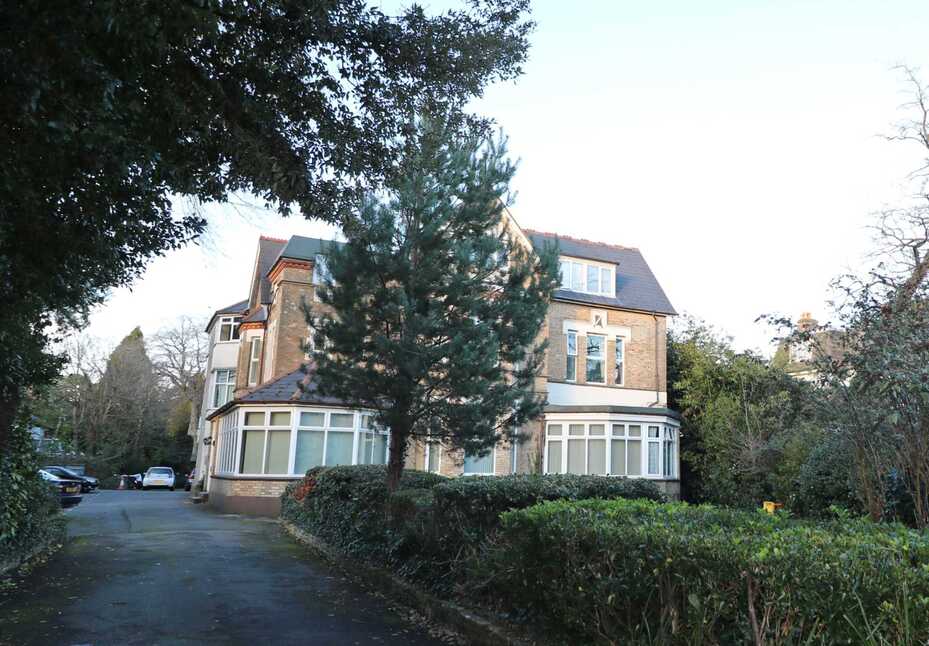 Image 12