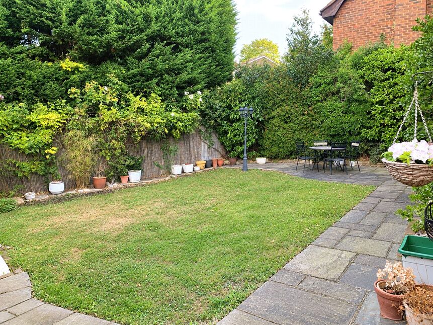 Image 13