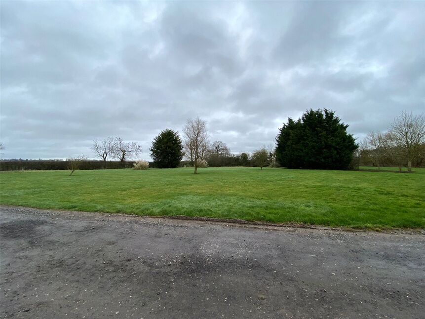 Image 15