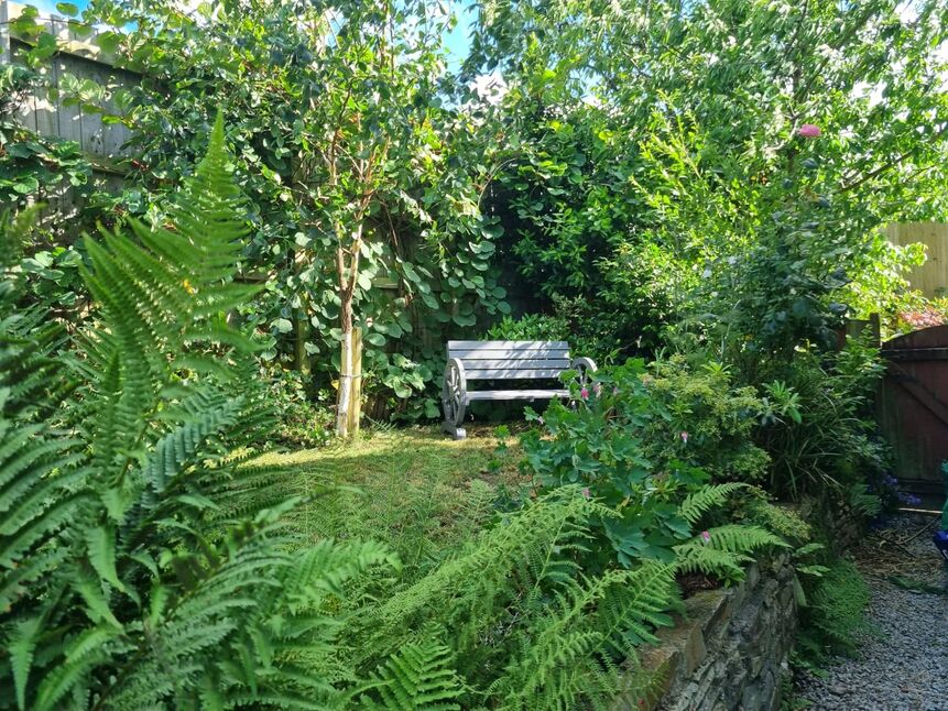 Image 16