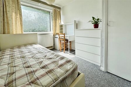 1 bedroom  Room to rent