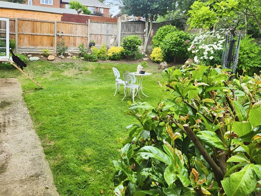 Image 11