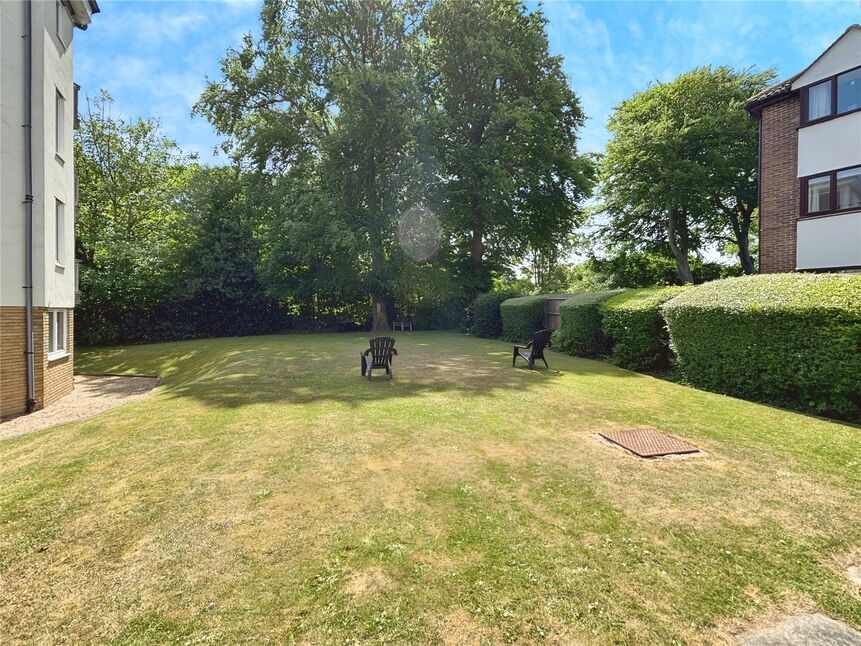 Image 6