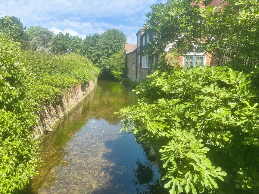 Image 10