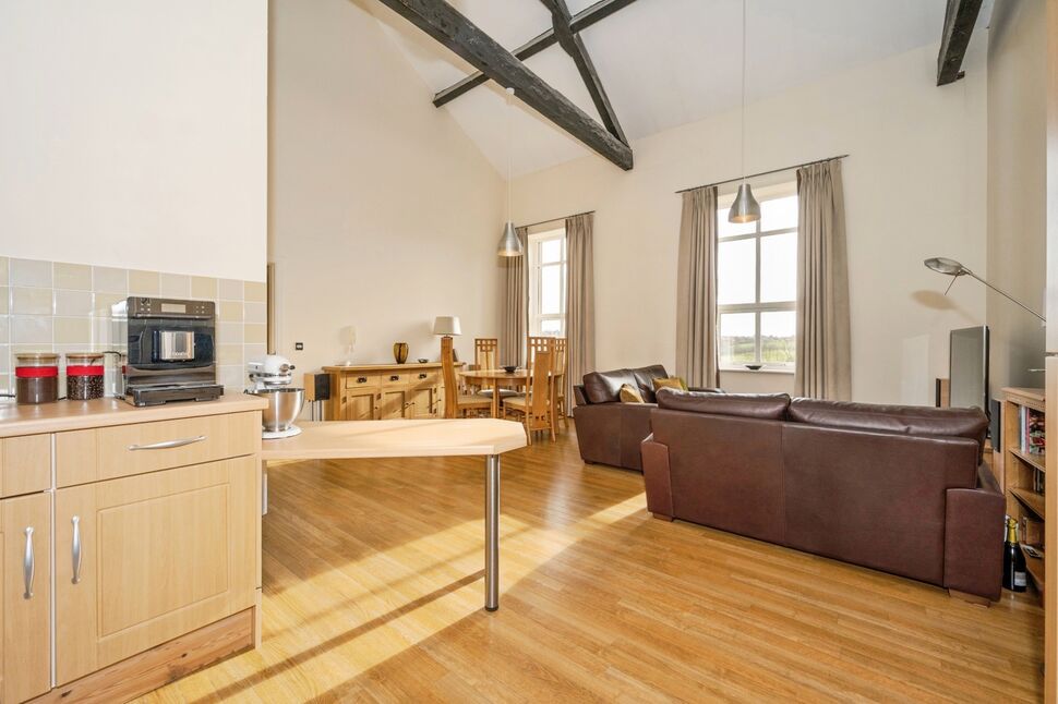 Kitchen / Living Space