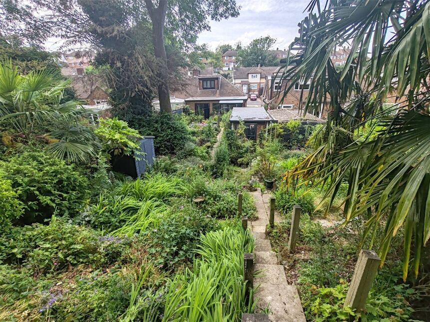 Image 13