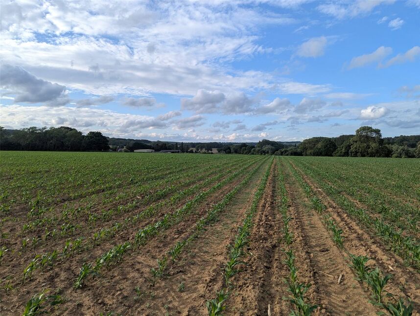 Image 18