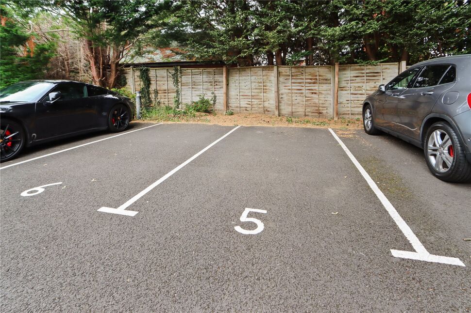 Image 21