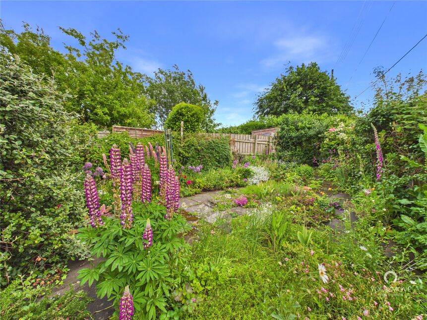 Image 25