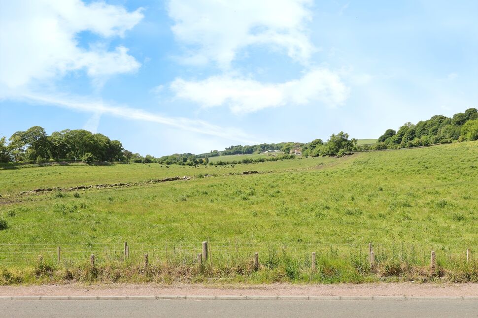 Image 18