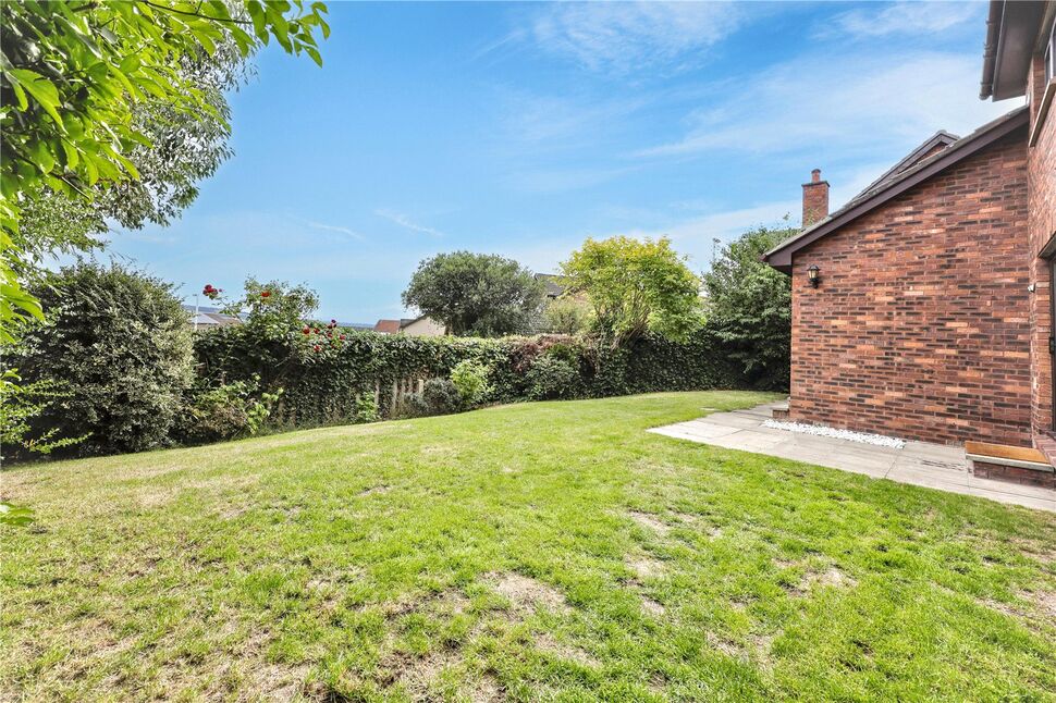 Image 26