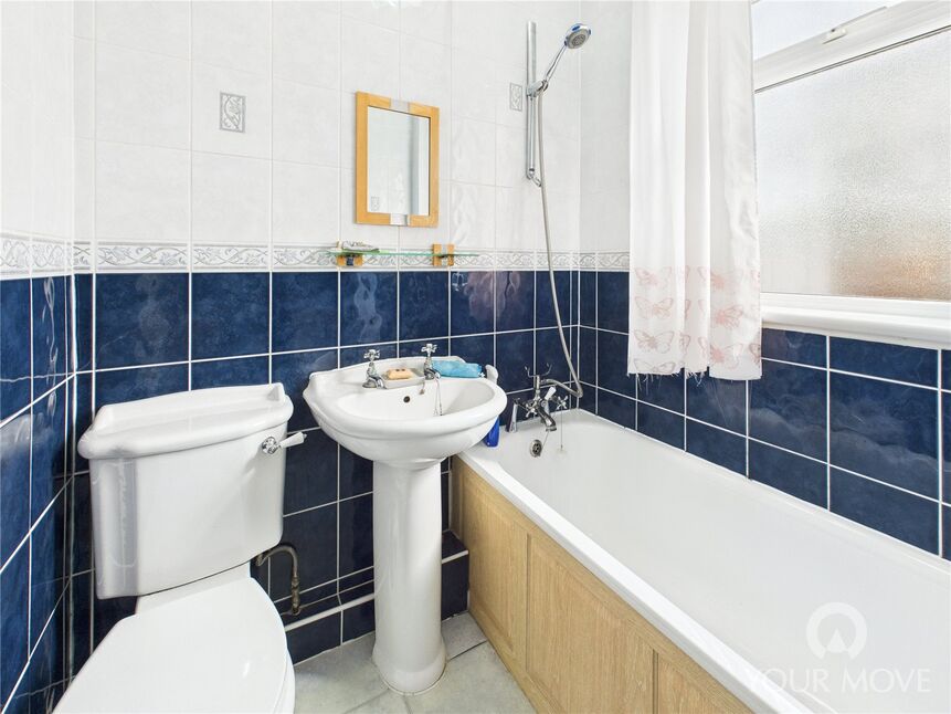 Image 11