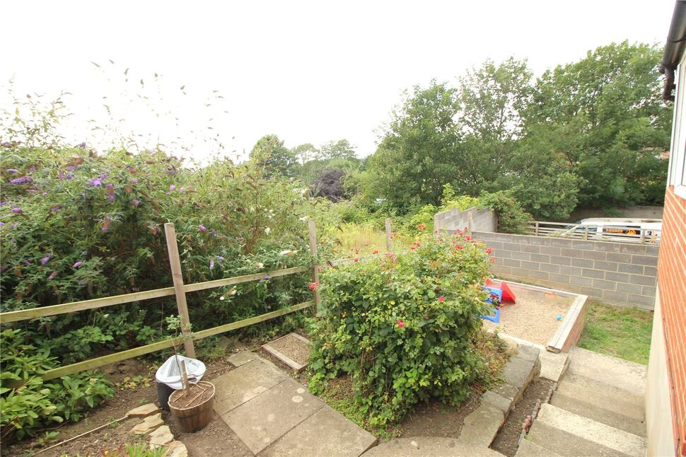 Image 15