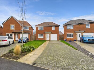 Browdie Road, 4 bedroom Detached House to rent, £1,300 pcm