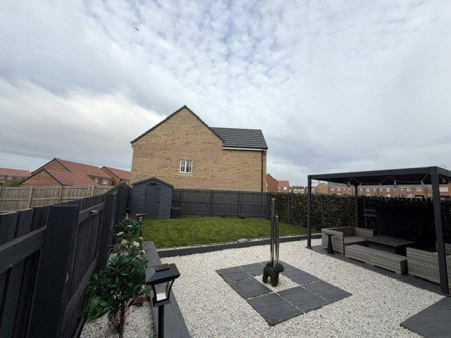 Image 20