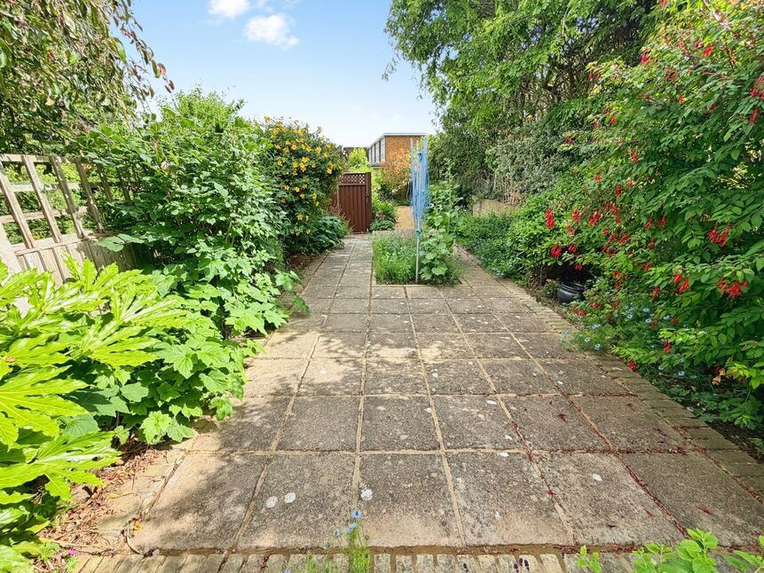 Image 22