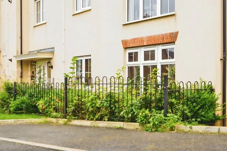 1 bedroom Flat to rent