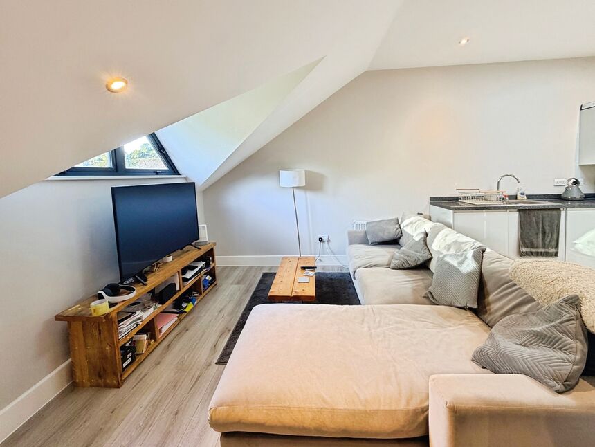 Lounge / Kitchen / Diner