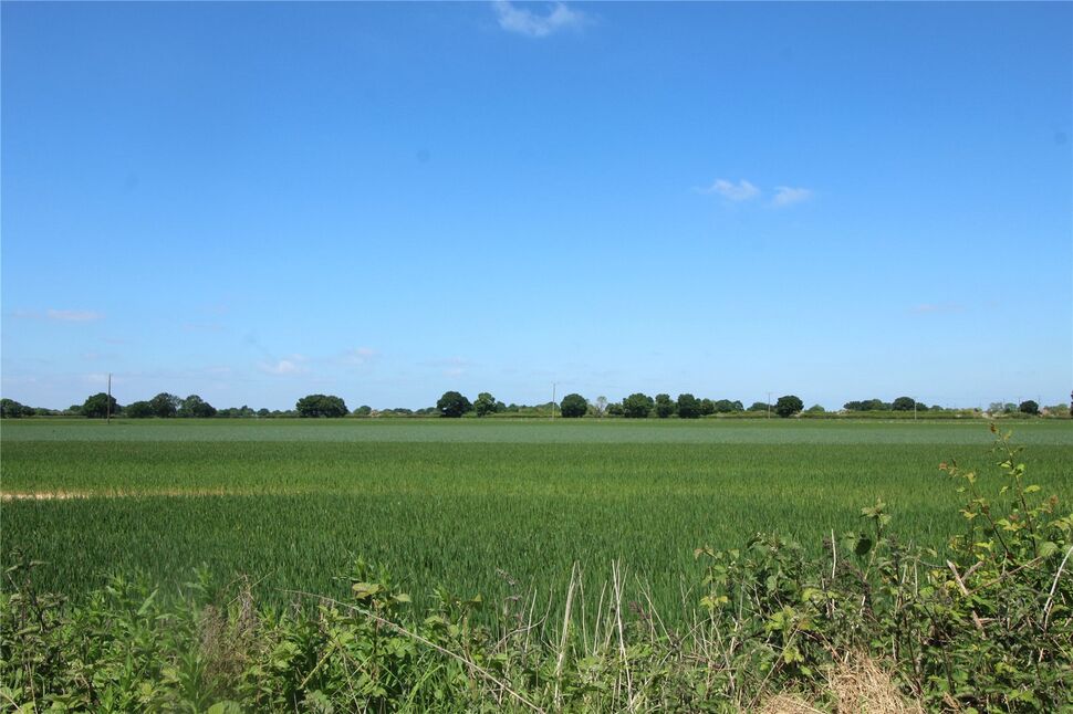 Image 28