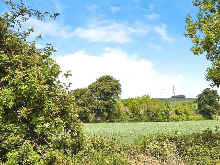 Image 13