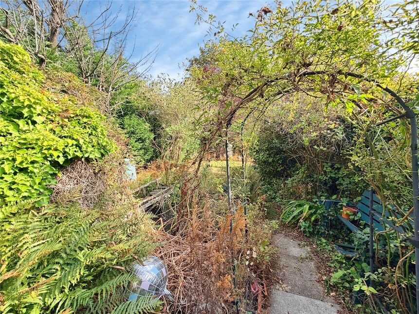 Image 22