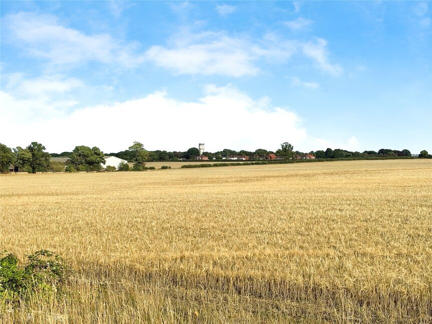 Image 16