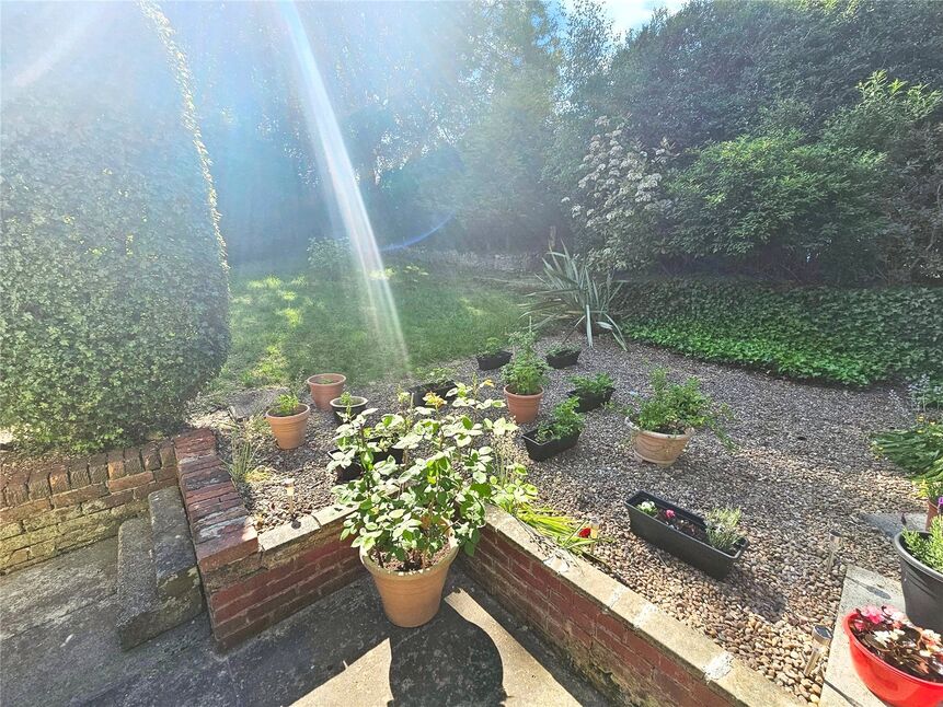 Image 15