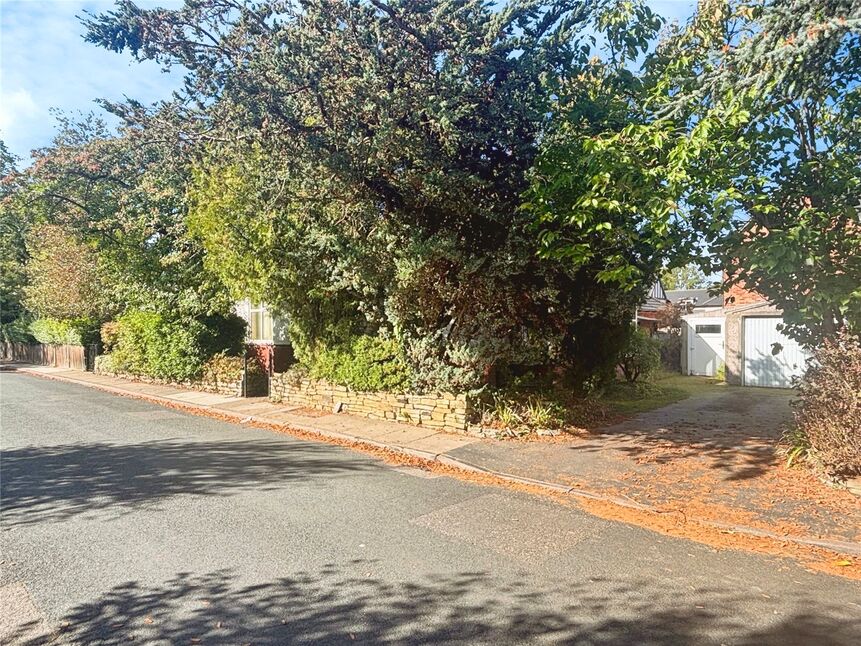 Image 13