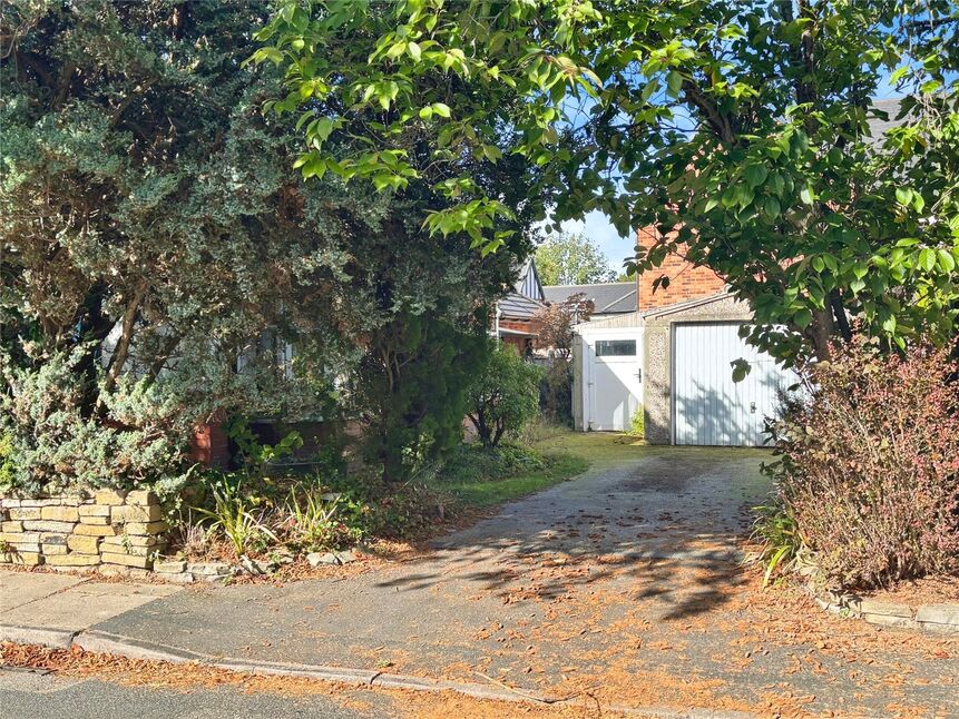 Image 15
