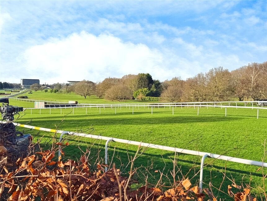 View Over Racecourse