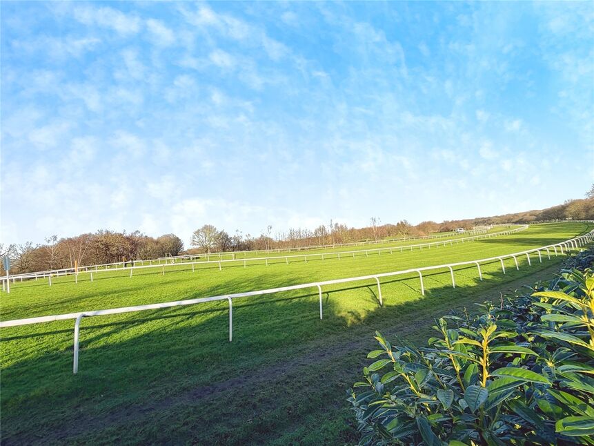 View Over Racecourse