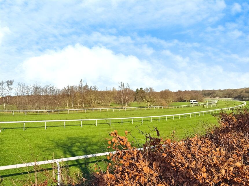 View Over Racecourse