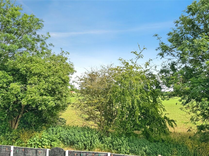 Image 33