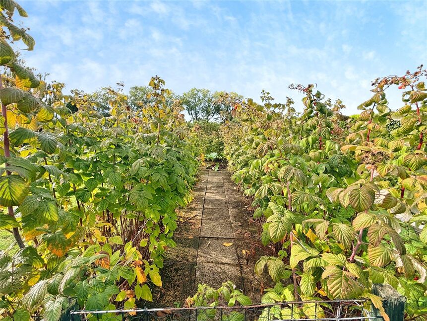 Rear Gardens
