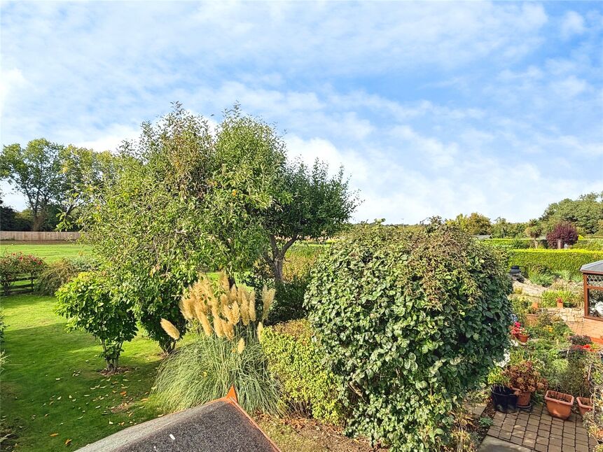 Rear Gardens