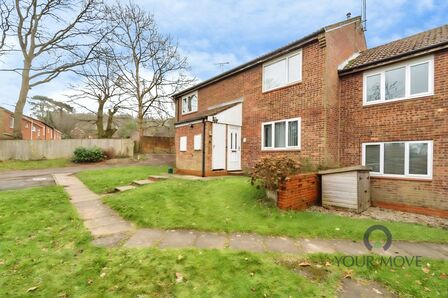 1 bedroom Flat to rent
