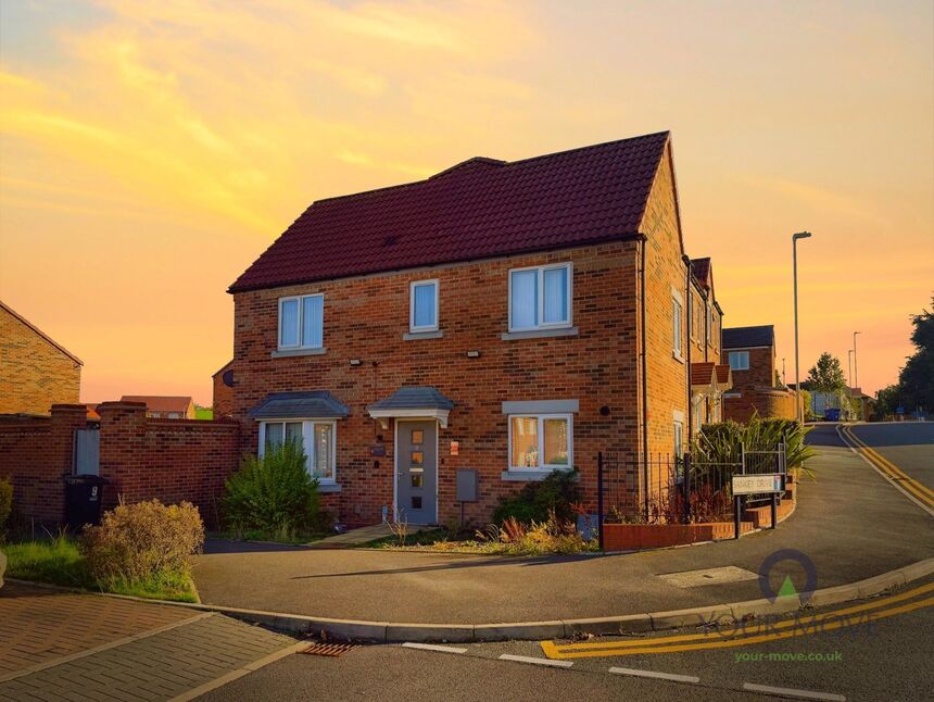 Image 13