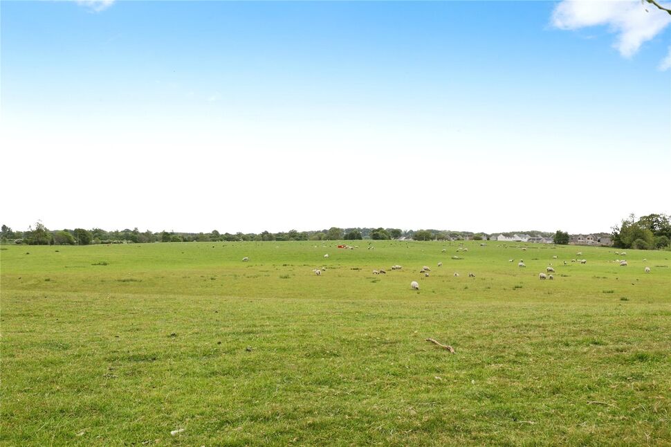 Image 20
