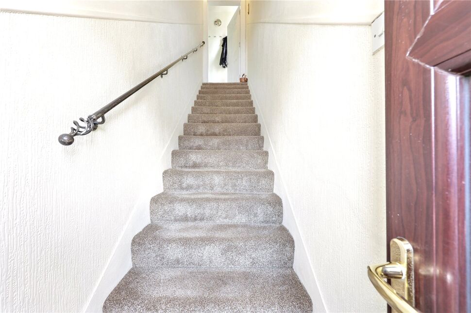 Image 20
